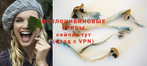 молекула духа Сатка