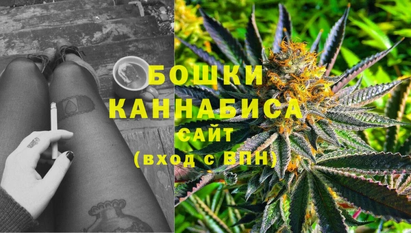 молекула духа Сатка