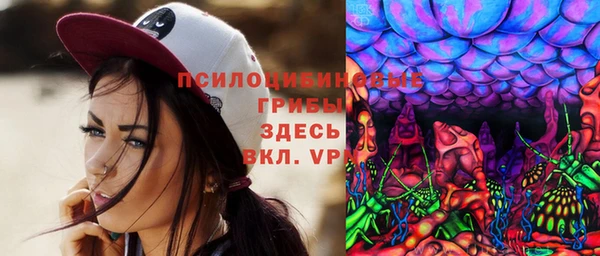 молекула духа Сатка