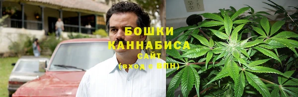 молекула духа Сатка