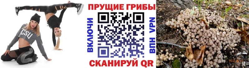 наркотики  Семёнов  Псилоцибиновые грибы прущие грибы 